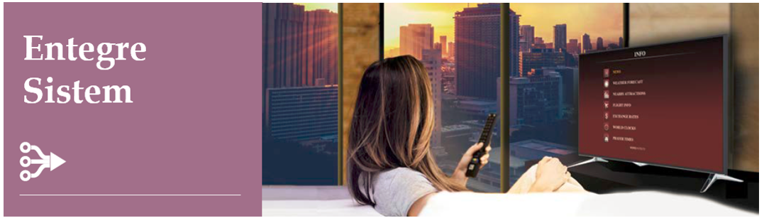 entegre sistem